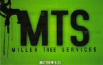 Green_mts_july_20