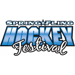 Jackson Hole Hockey Bantam team