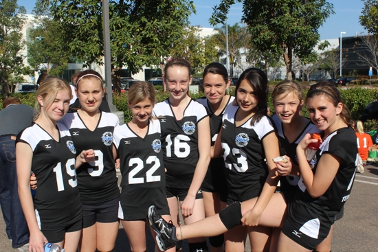 Team 14 Phoebe