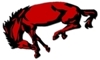 Sponsored by Barrington Broncos