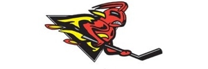 Home Team Logo